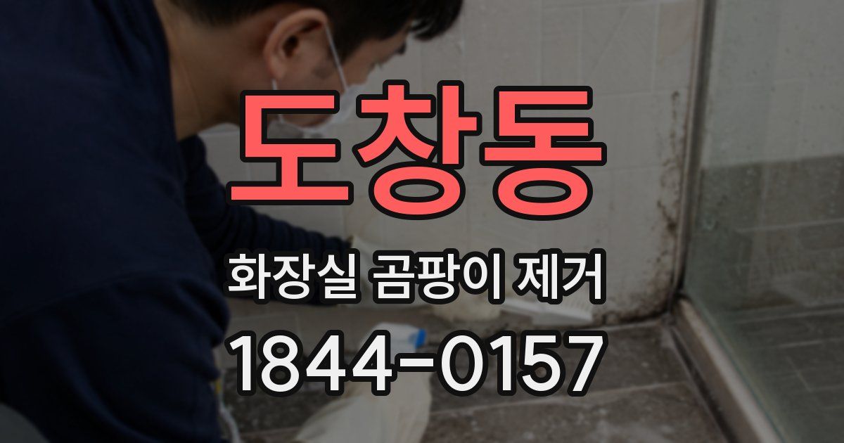 도창동 화장실 곰팡이 제거