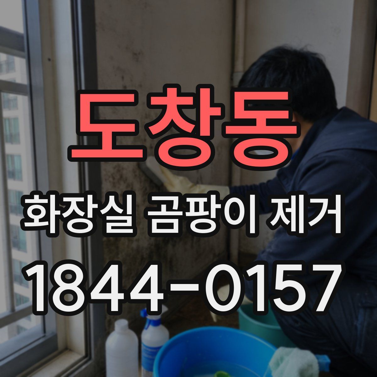 도창동 화장실 곰팡이 제거