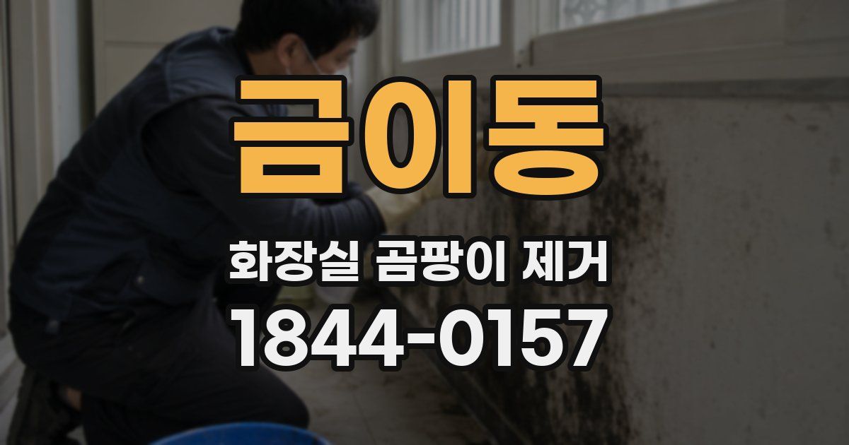 금이동 화장실 곰팡이 제거