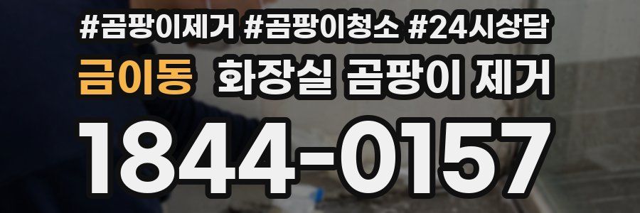 금이동 화장실 곰팡이 제거