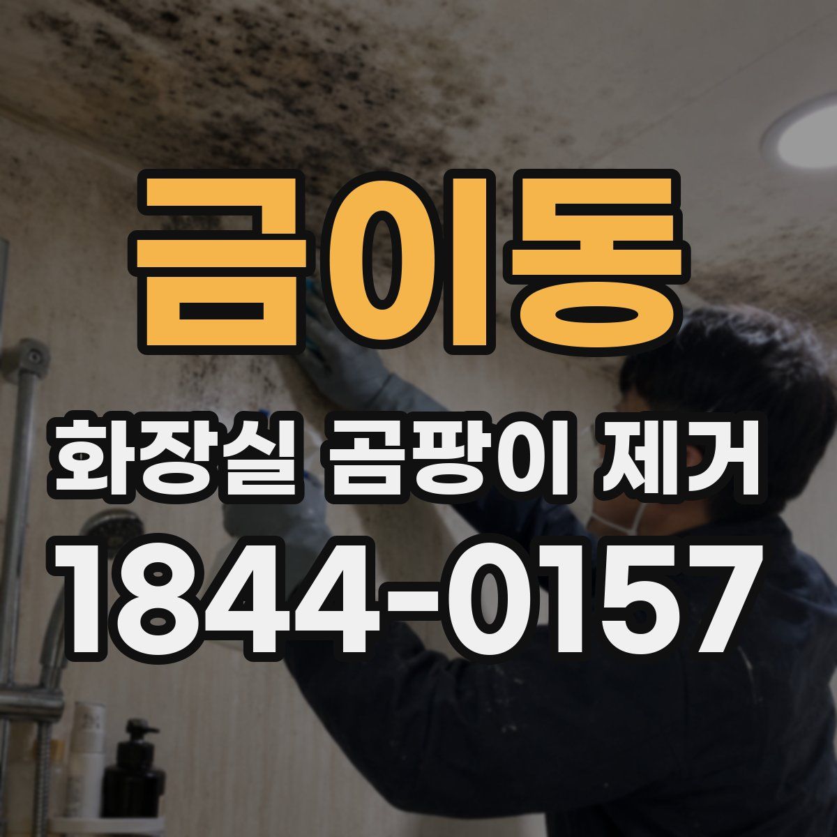 금이동 화장실 곰팡이 제거