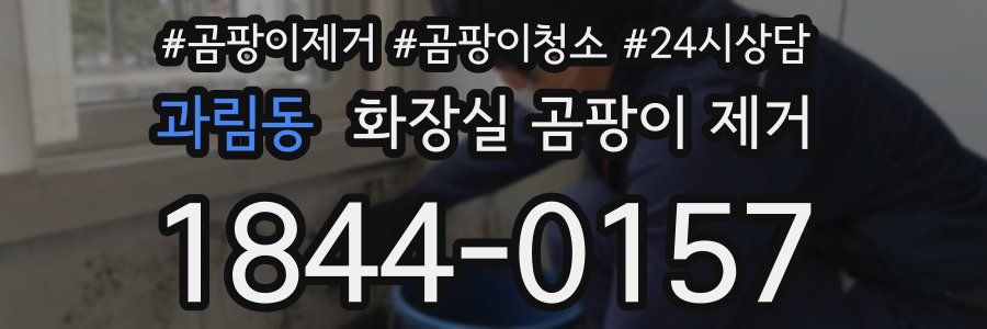 과림동 화장실 곰팡이 제거