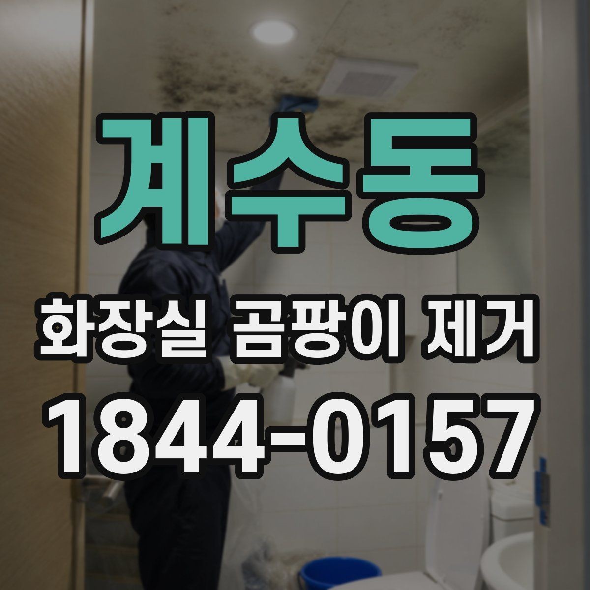 계수동 화장실 곰팡이 제거 오래된 얼룩 지우는 순서