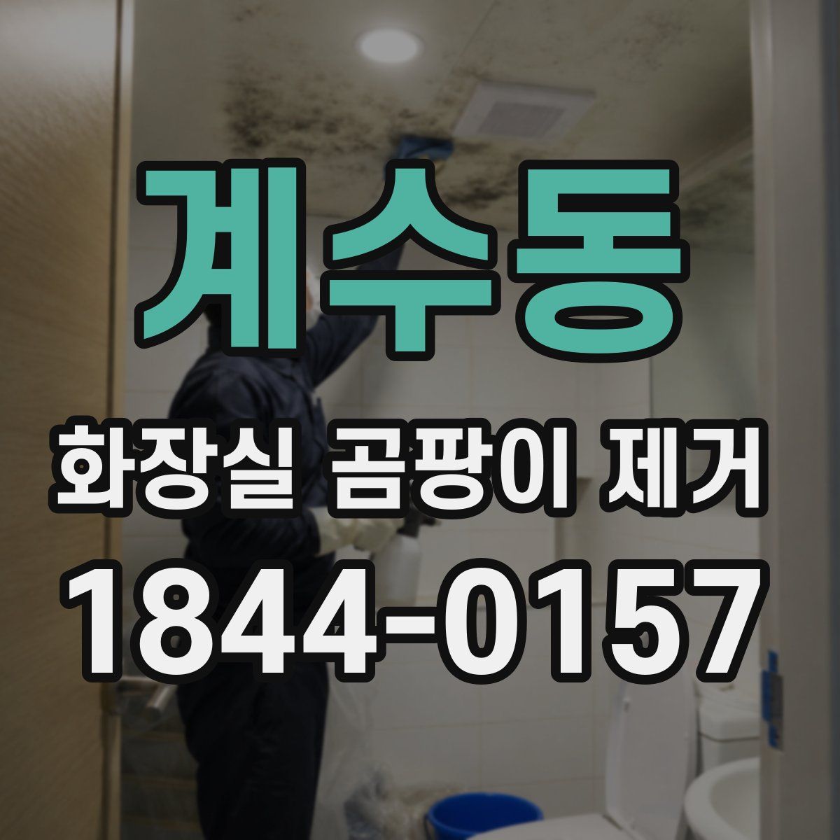 계수동 화장실 곰팡이 제거