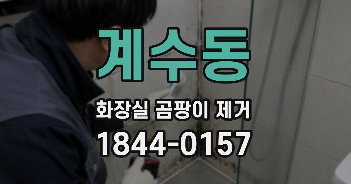 계수동 화장실 곰팡이 제거