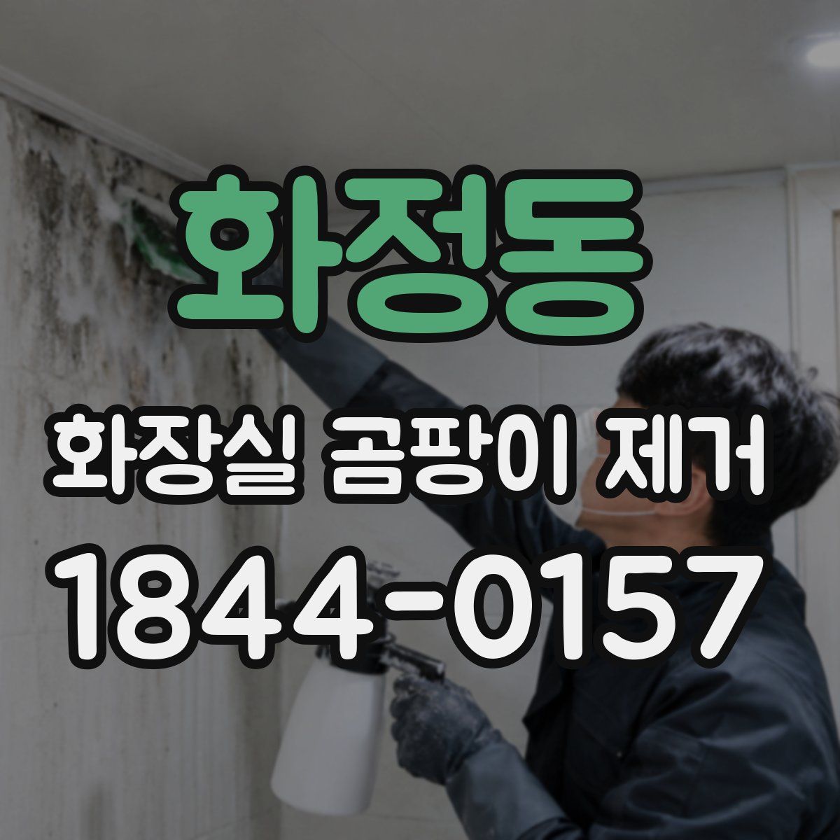 화정동 화장실 곰팡이 제거
