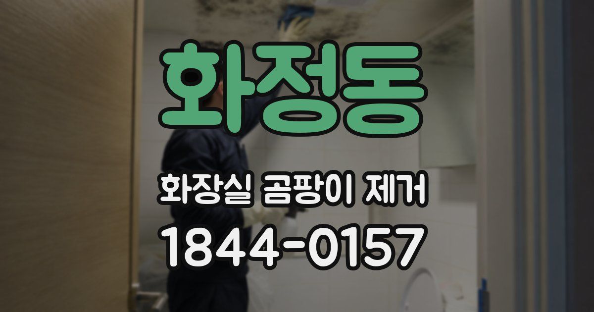 화정동 화장실 곰팡이 제거