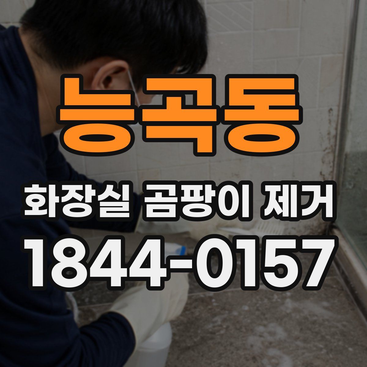 능곡동 화장실 곰팡이 제거