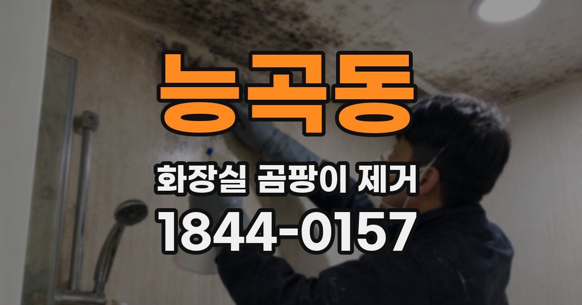 능곡동 화장실 곰팡이 제거