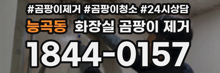 능곡동 화장실 곰팡이 제거