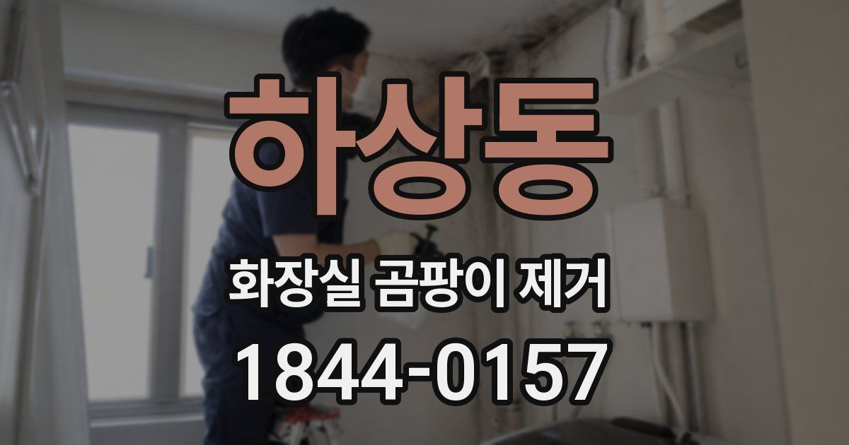 하상동 화장실 곰팡이 제거