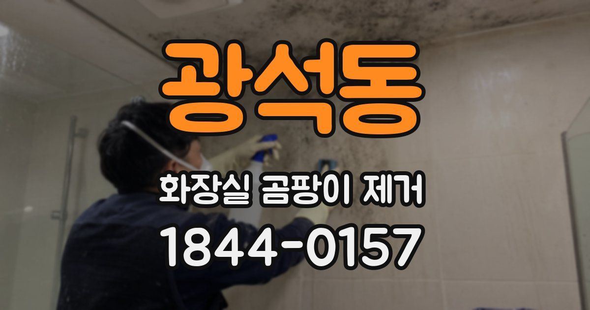광석동 화장실 곰팡이 제거