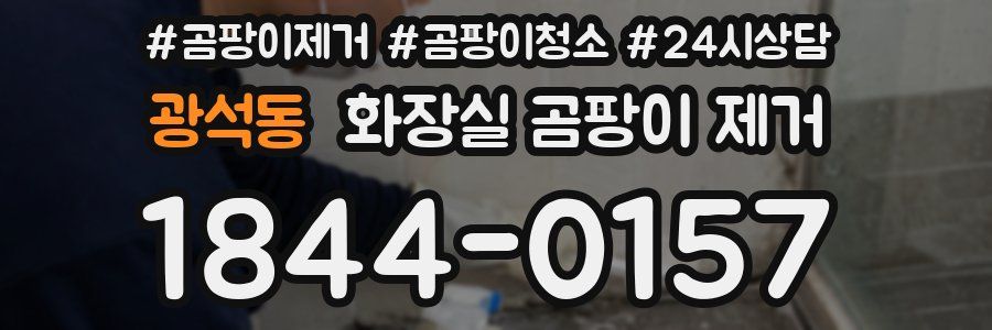 광석동 화장실 곰팡이 제거
