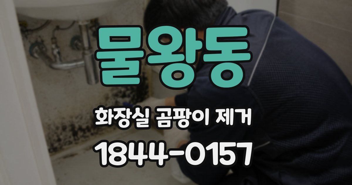 물왕동 화장실 곰팡이 제거