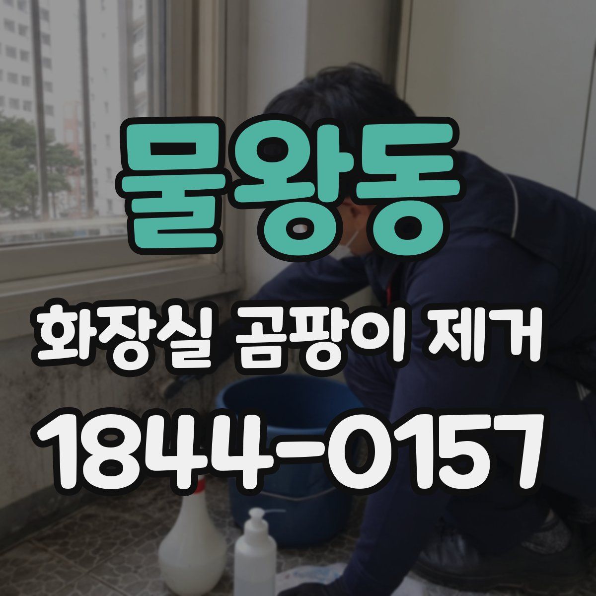 물왕동 화장실 곰팡이 제거