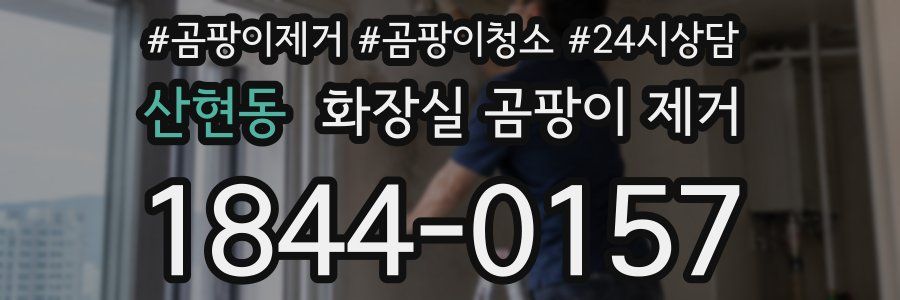 산현동 화장실 곰팡이 제거