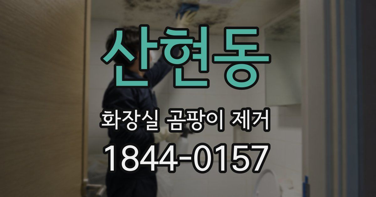 산현동 화장실 곰팡이 제거