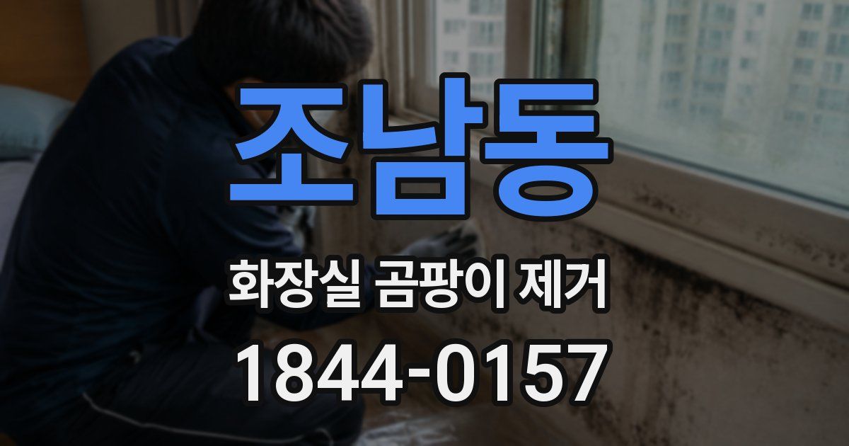 조남동 화장실 곰팡이 제거