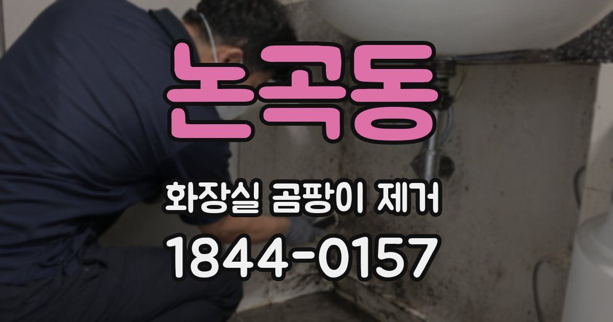 논곡동 화장실 곰팡이 제거