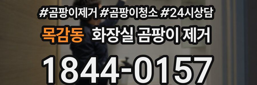 목감동 화장실 곰팡이 제거