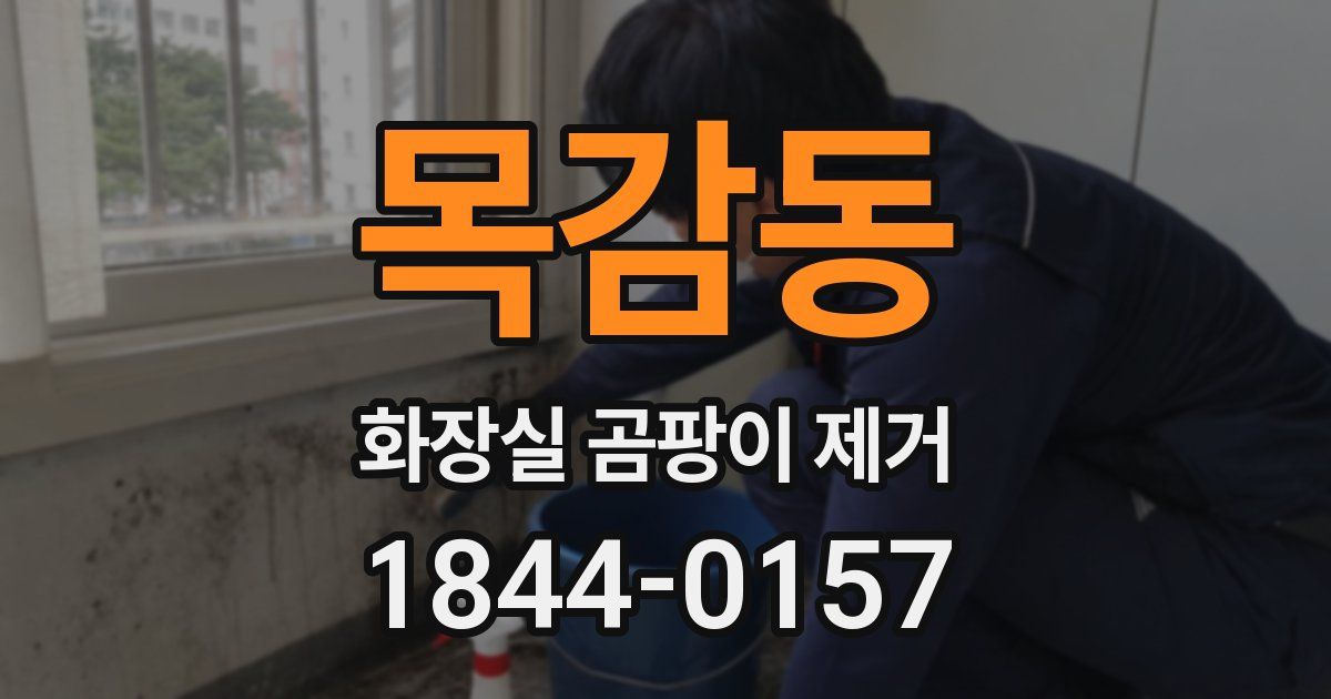 목감동 화장실 곰팡이 제거