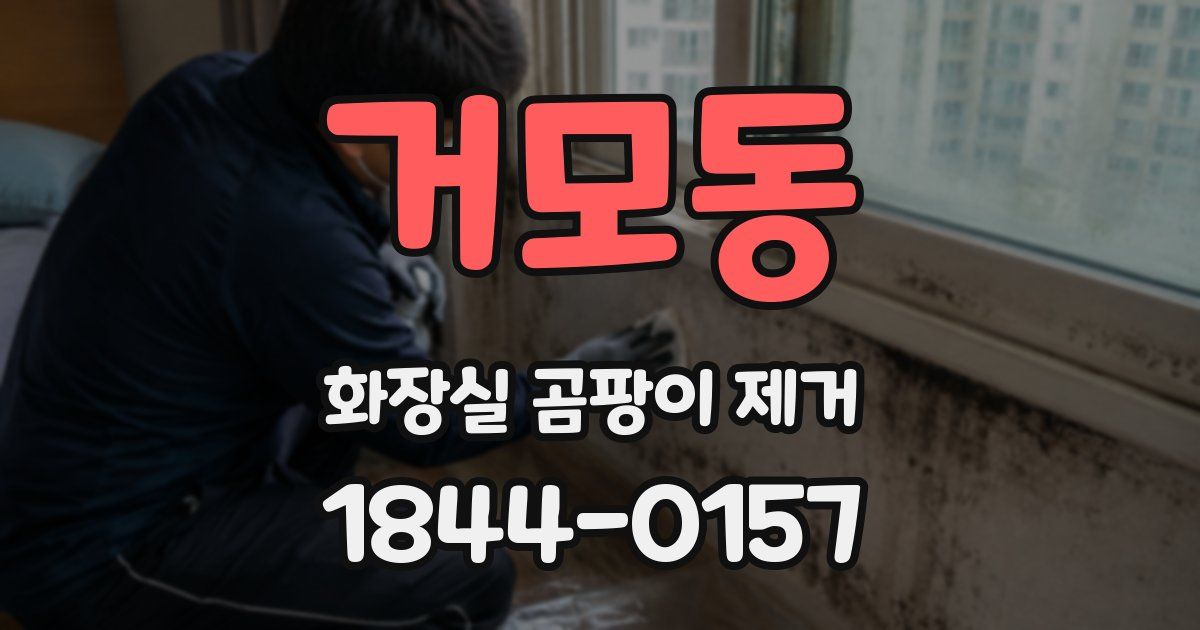 거모동 화장실 곰팡이 제거
