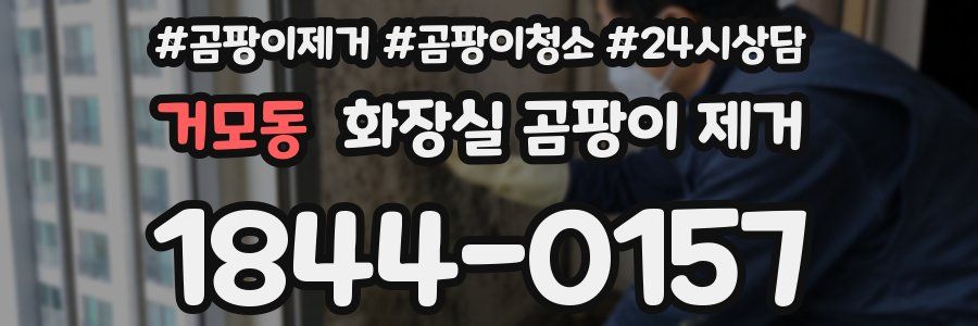 거모동 화장실 곰팡이 제거