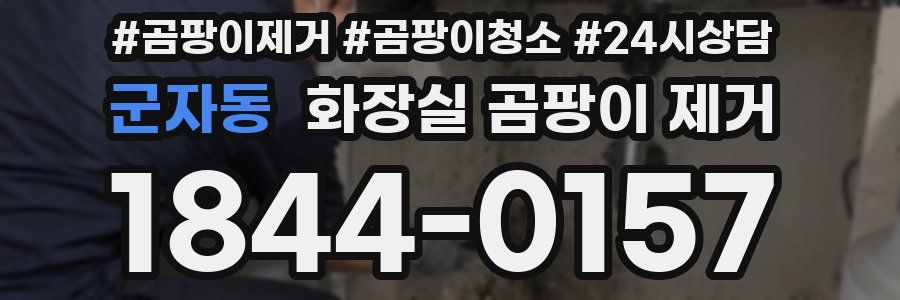 군자동 화장실 곰팡이 제거