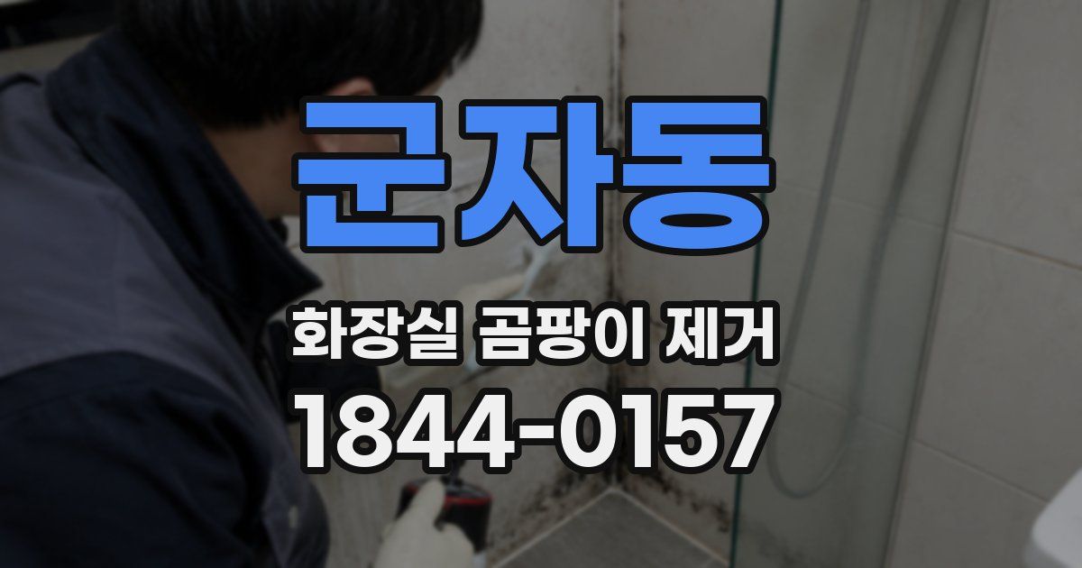 군자동 화장실 곰팡이 제거