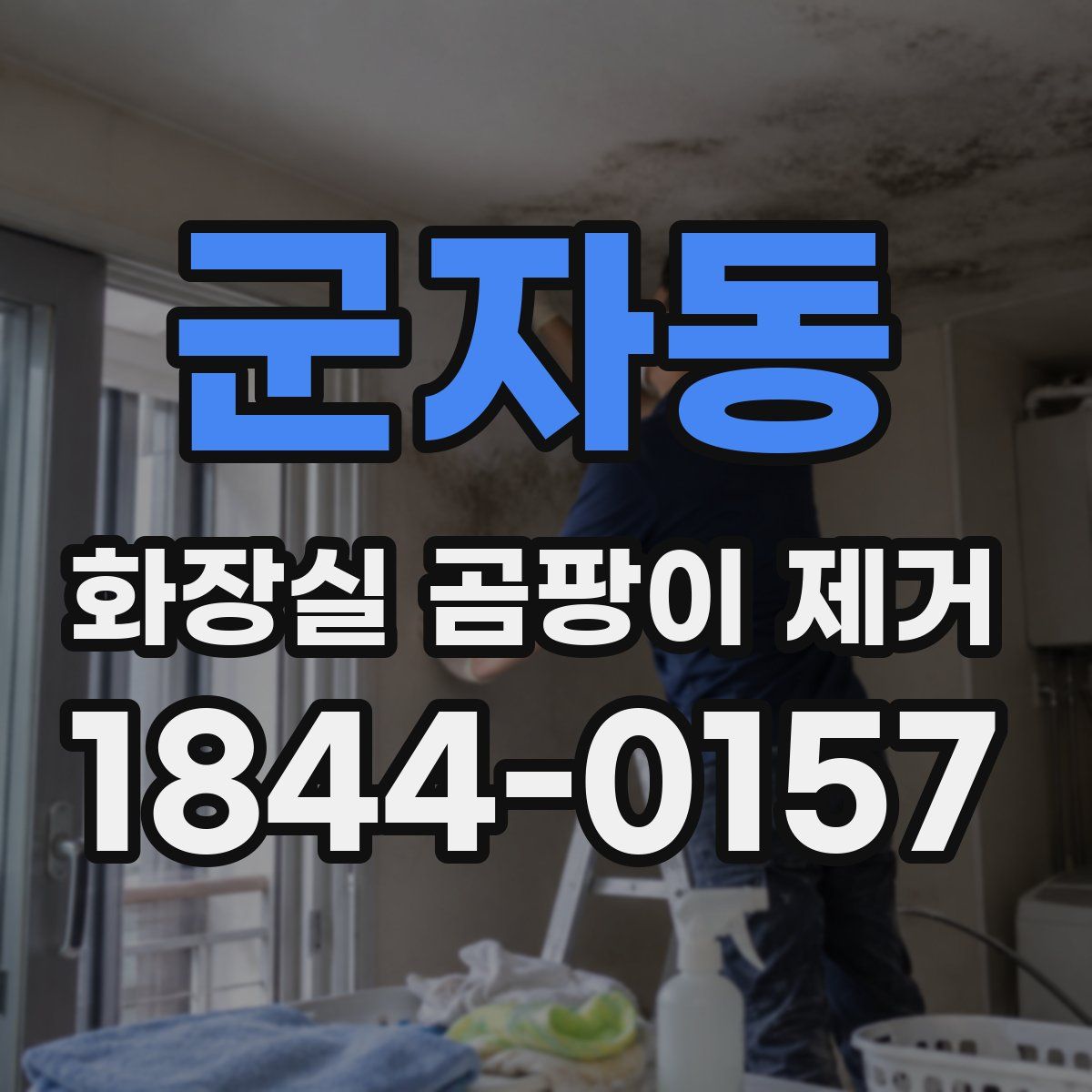 군자동 화장실 곰팡이 제거