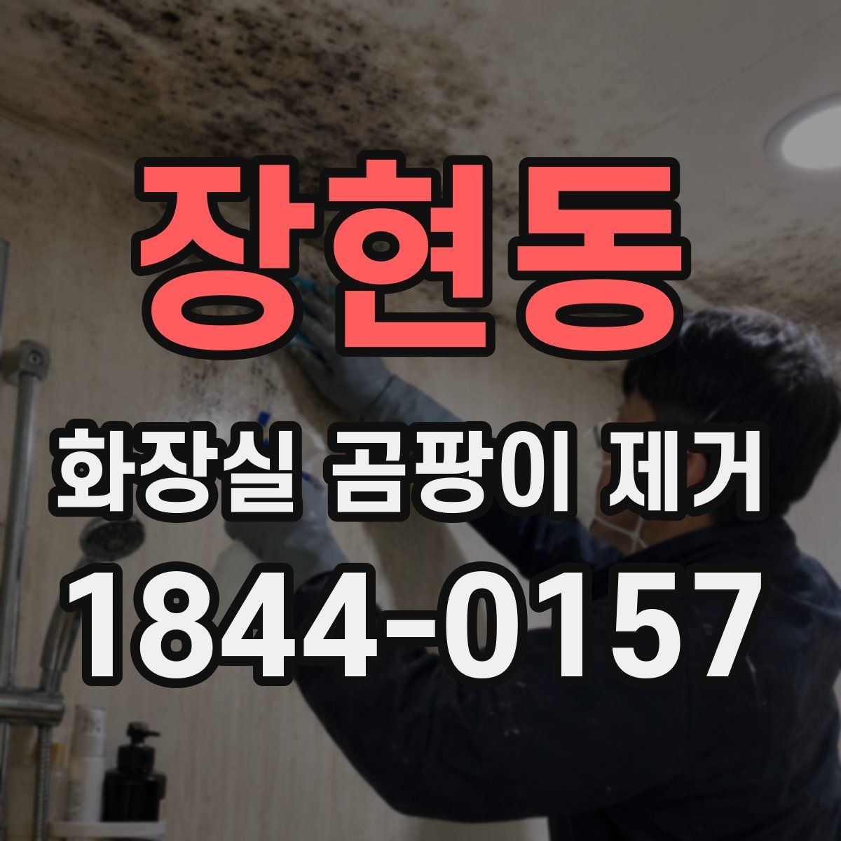 장현동 화장실 곰팡이 제거