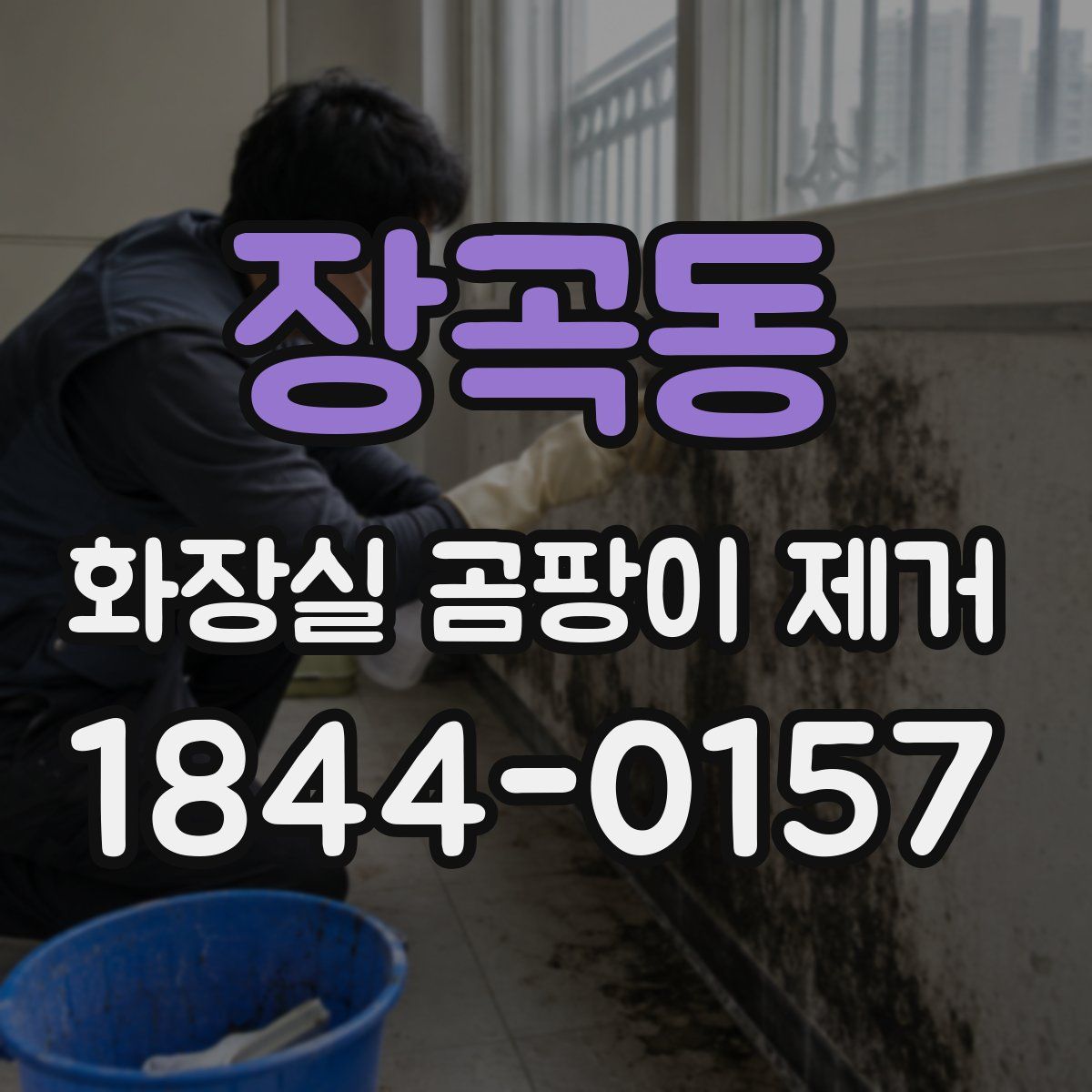 장곡동 화장실 곰팡이 제거