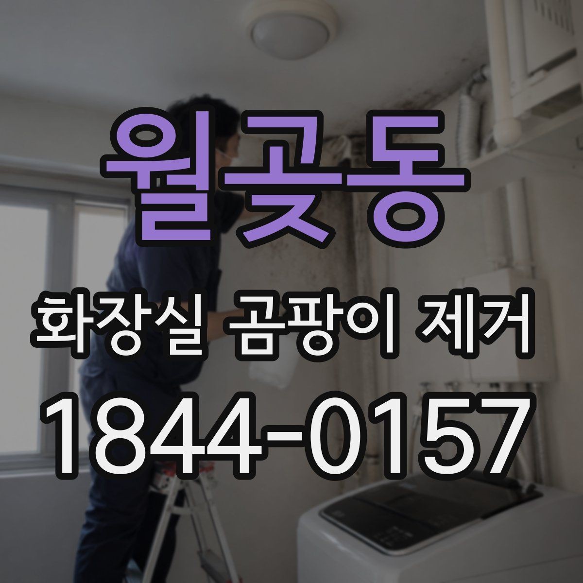 월곶동 화장실 곰팡이 제거 벽면과 천장을 나눠 보는 효율적인 청소 순서