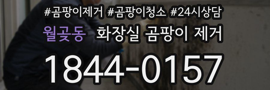 월곶동 화장실 곰팡이 제거