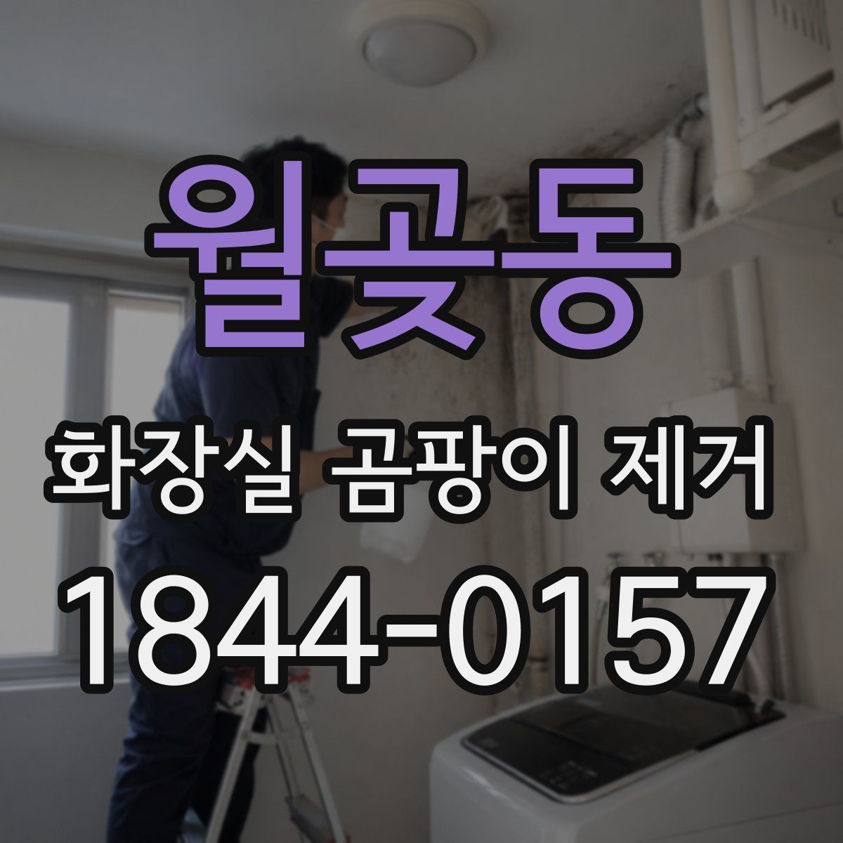 월곶동 화장실 곰팡이 제거
