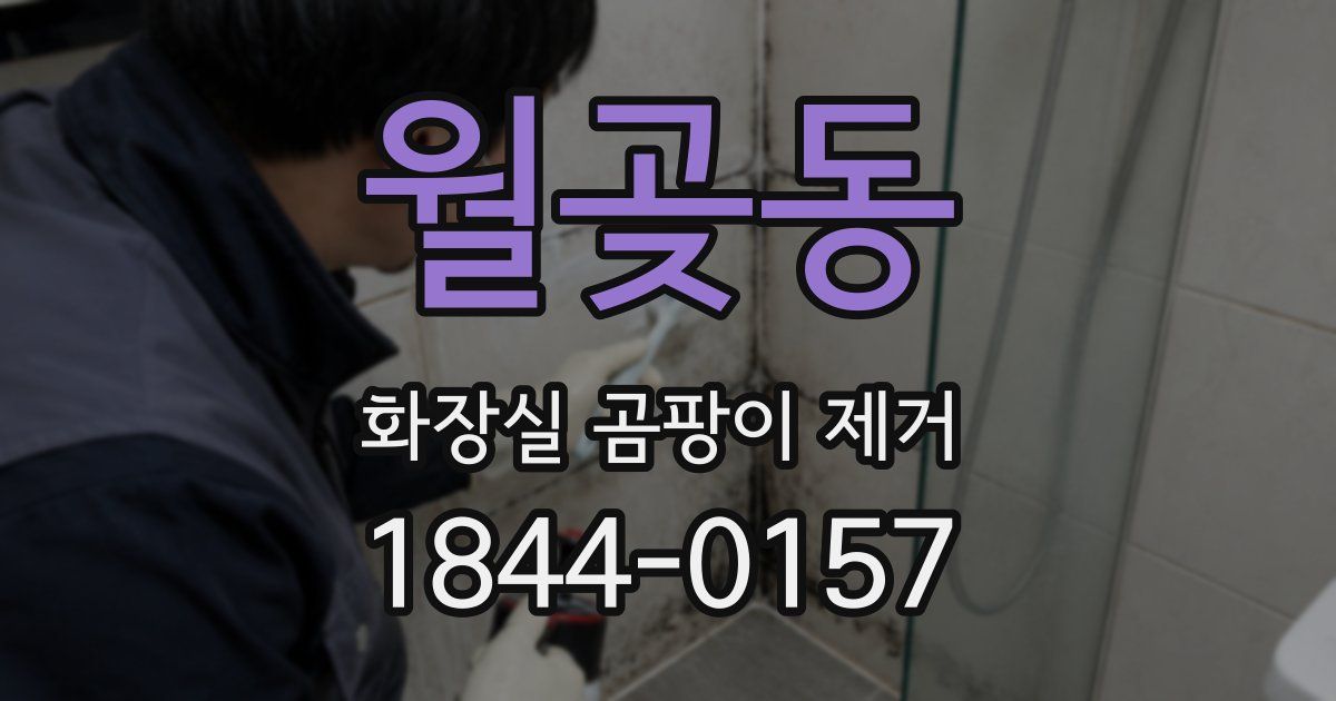월곶동 화장실 곰팡이 제거