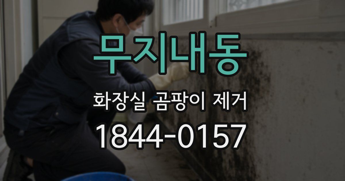무지내동 화장실 곰팡이 제거