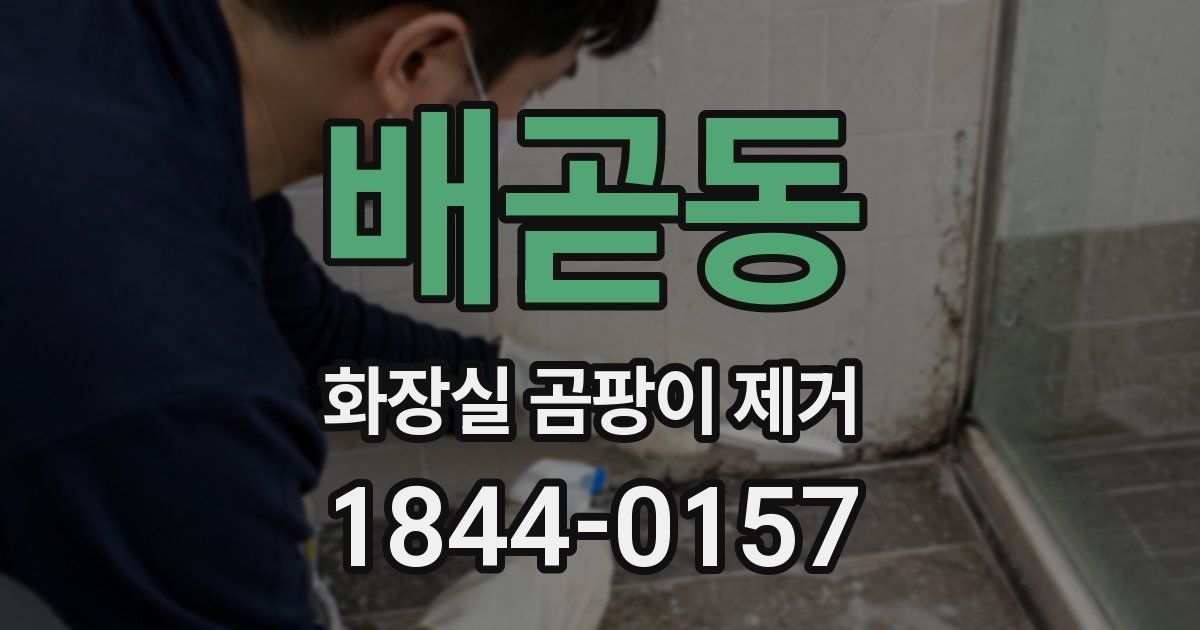 배곧동 화장실 곰팡이 제거