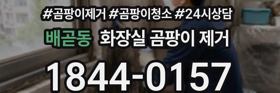 배곧동 화장실 곰팡이 제거