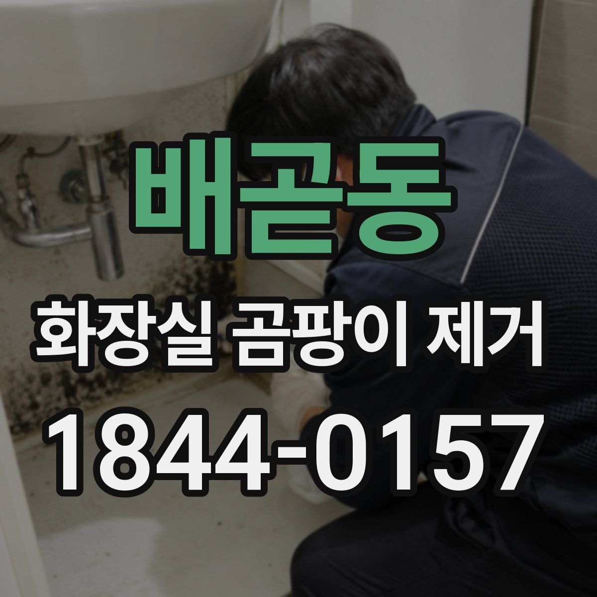 배곧동 화장실 곰팡이 제거