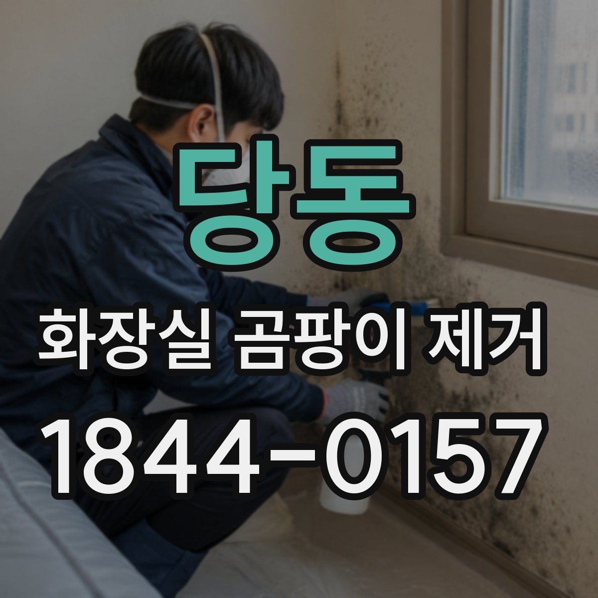 당동 화장실 곰팡이 제거