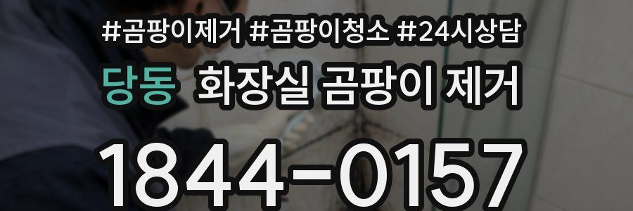 당동 화장실 곰팡이 제거
