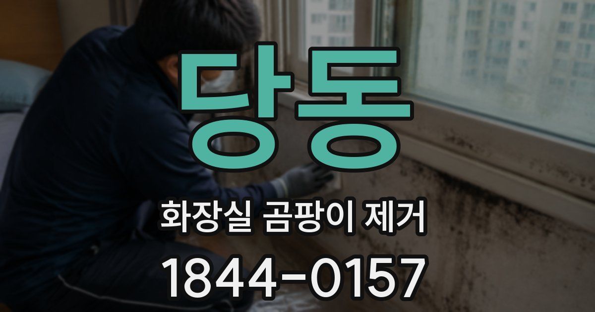 당동 화장실 곰팡이 제거