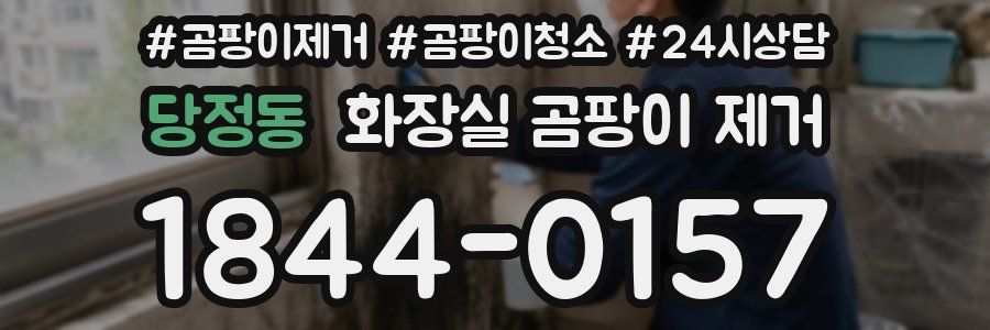 당정동 화장실 곰팡이 제거