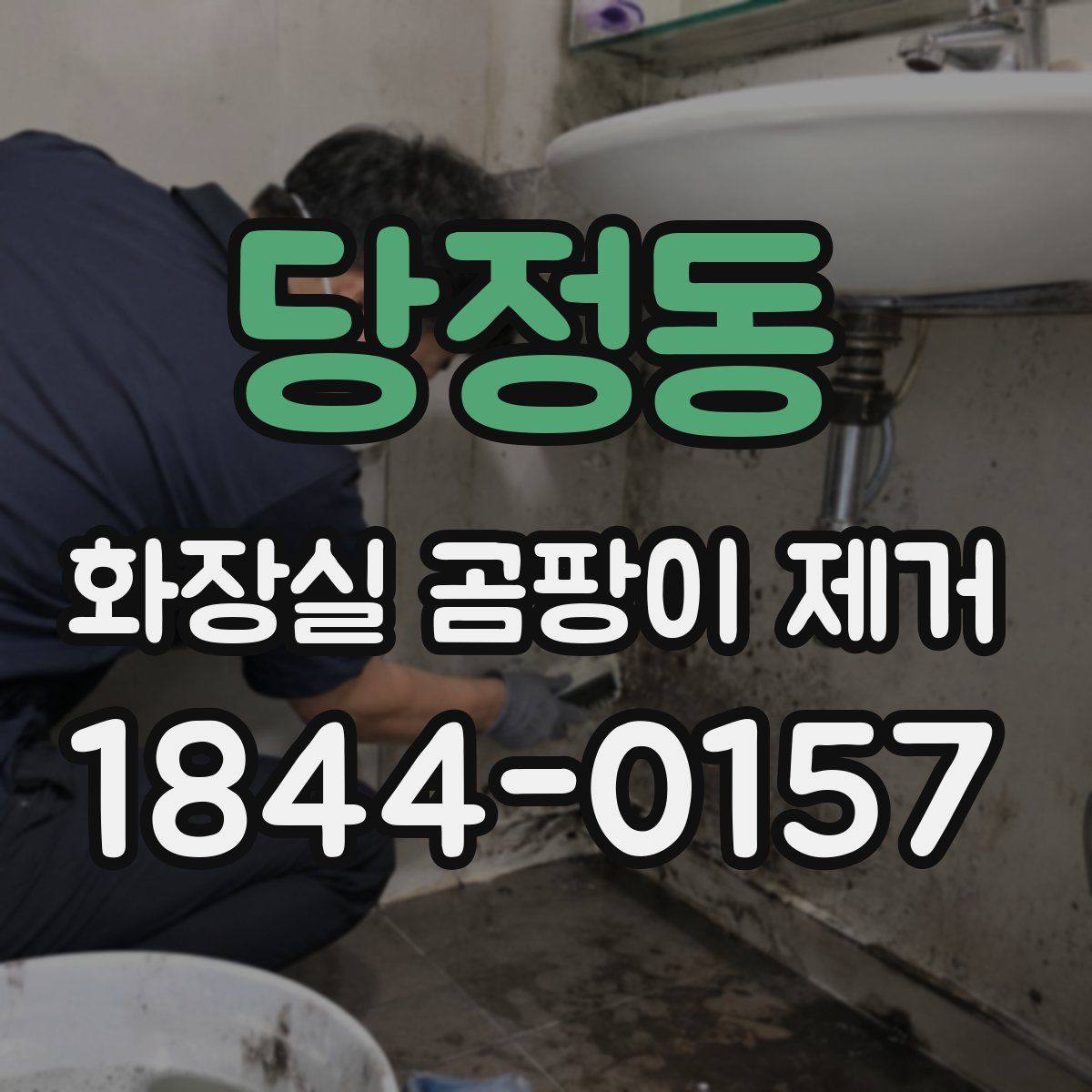 당정동 화장실 곰팡이 제거