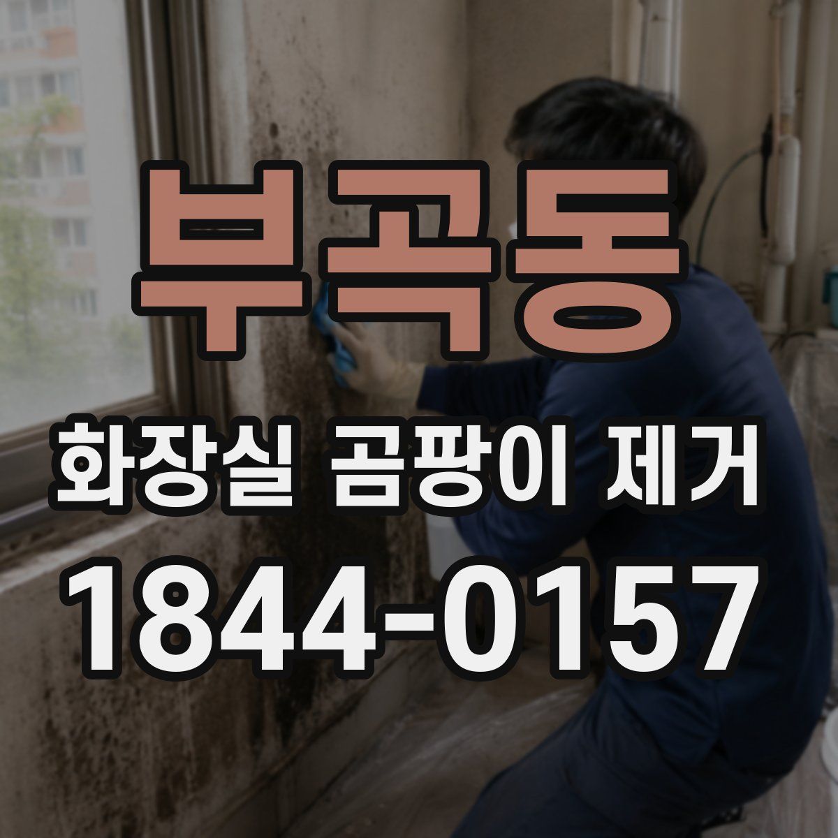 부곡동 화장실 곰팡이 제거