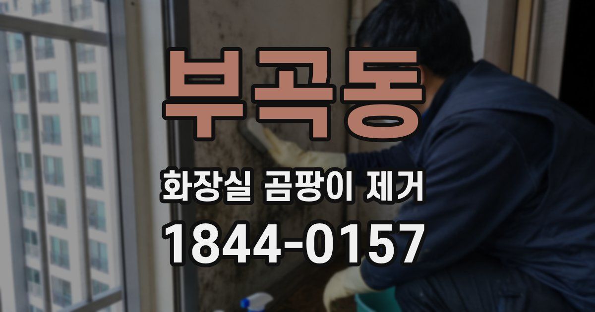 부곡동 화장실 곰팡이 제거