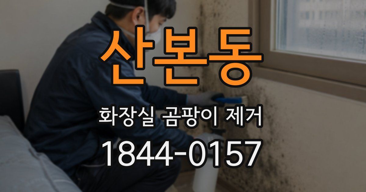 산본동 화장실 곰팡이 제거