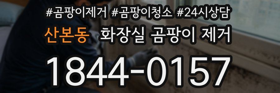 산본동 화장실 곰팡이 제거