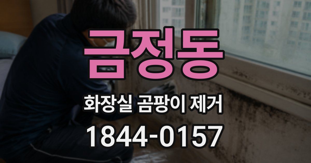 금정동 화장실 곰팡이 제거
